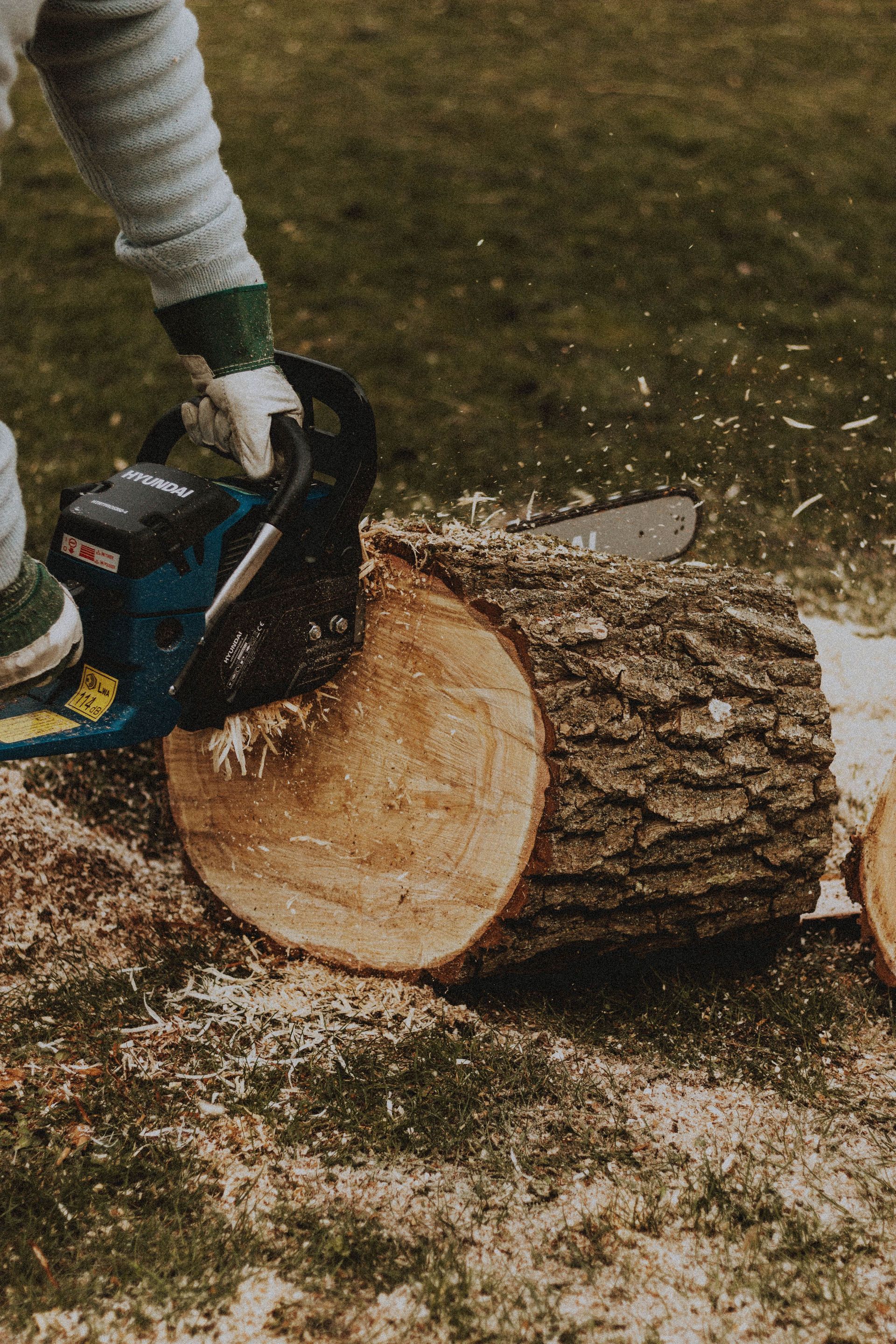 Anonymous male worker with electric chainsaw sawing dried wooden log on grassy terrain during work in suburb area of countryside